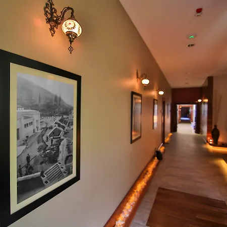 Hotel Celik Convention Center & Thermal Bursa